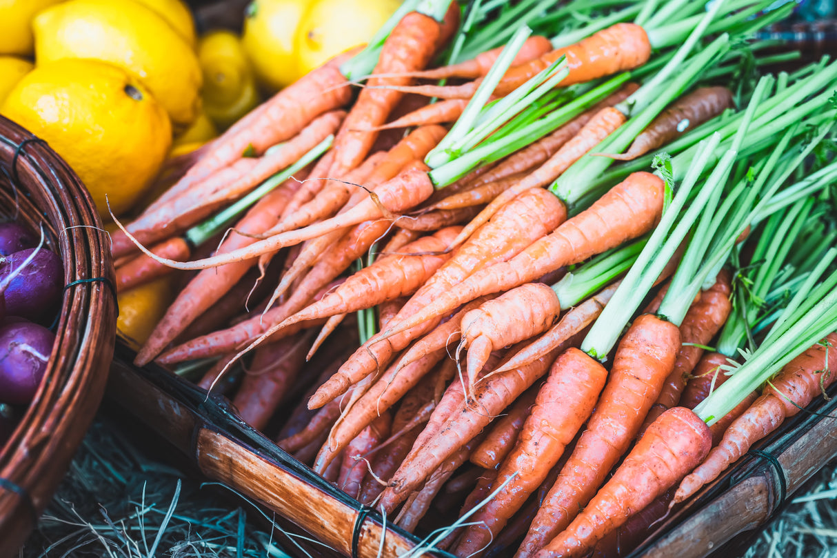 1500 LITTLE FINGERS CARROT Daucus Carota Vegetable Seeds