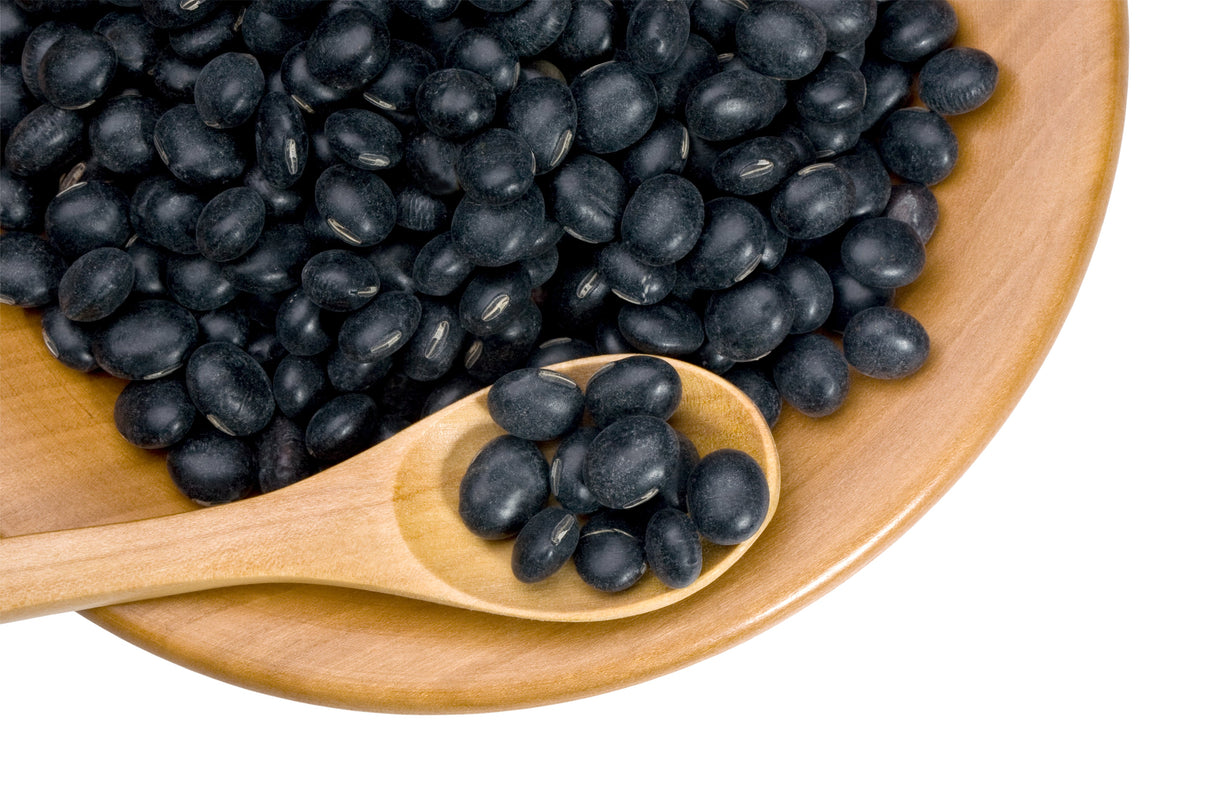 20 Organic Sweet KOREAN BLACK SOYBEAN Glycine Max Edamame Soy Bean Vegetable Seeds
