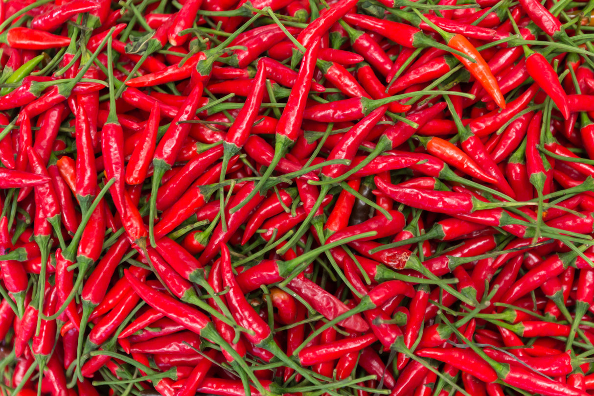 300 THIN CAYENNE PEPPER Hot Chili Long Green Red Slim Capsicum Vegetable Seeds