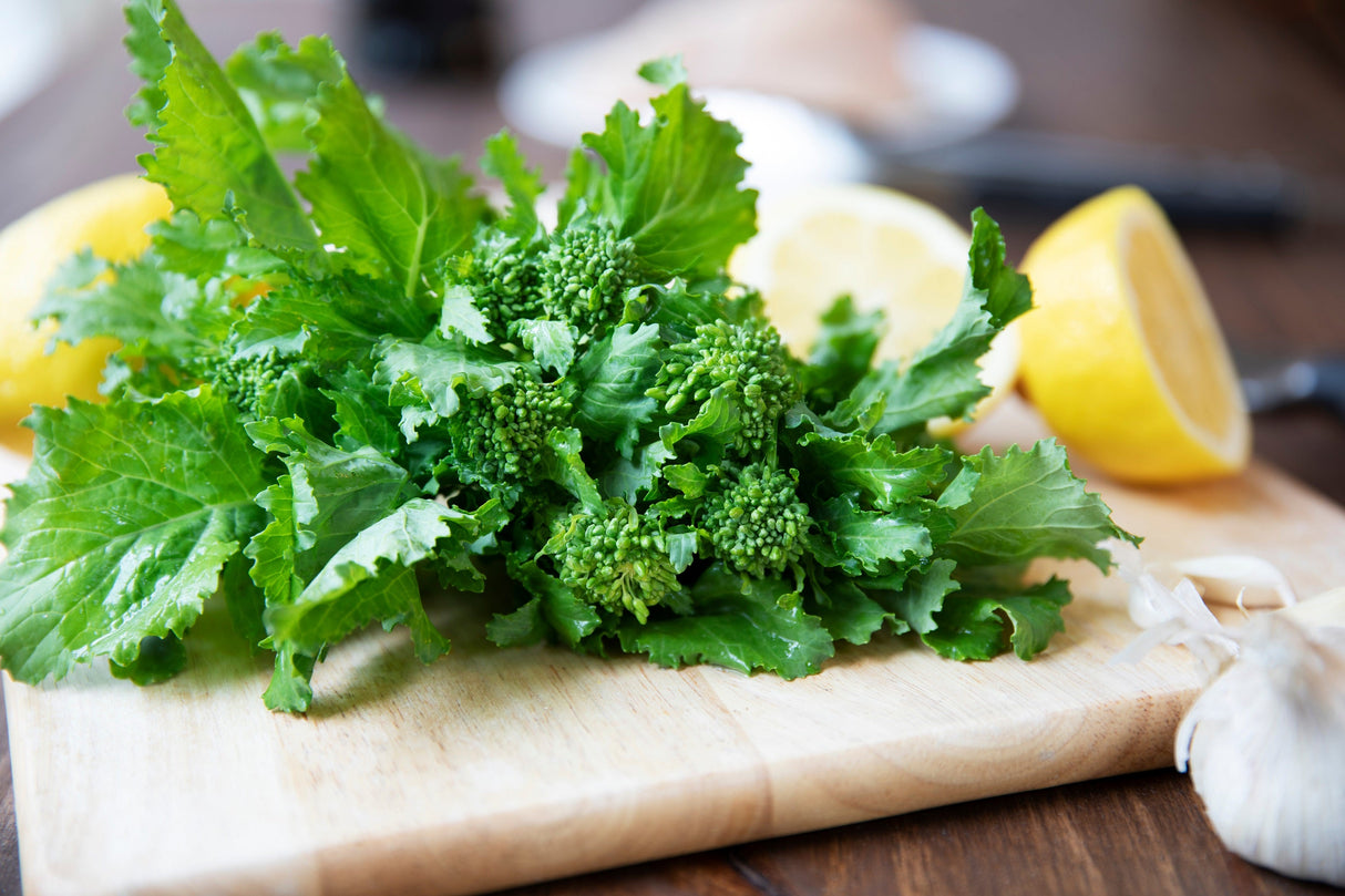1000 EARLY Fall RAPINI BROCCOLI (Broccoli Raab / Broccoli Rabe / Brocoletti / Cima di Rapa) Brassica Ruvo Vegetable Seeds