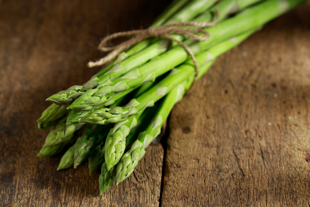 100 MARY WASHINGTON ASPARAGUS Officinalis Perennial Vegetable Seeds