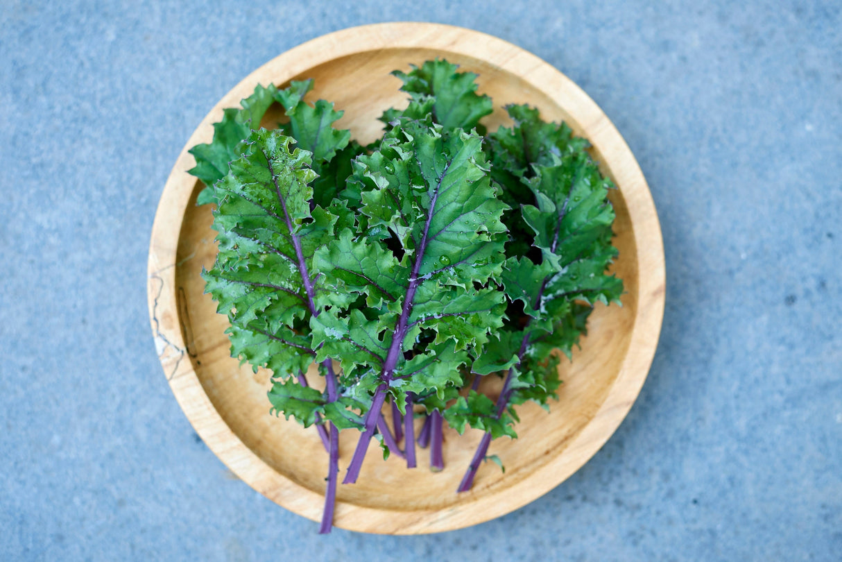 500 RED RUSSIAN KALE Brassica Oleracea Vegetable Seeds