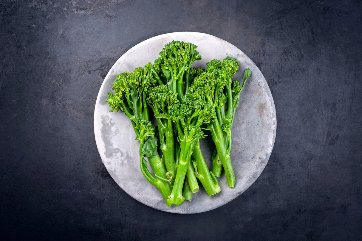1000 EARLY Fall RAPINI BROCCOLI (Broccoli Raab / Broccoli Rabe / Brocoletti / Cima di Rapa) Brassica Ruvo Vegetable Seeds