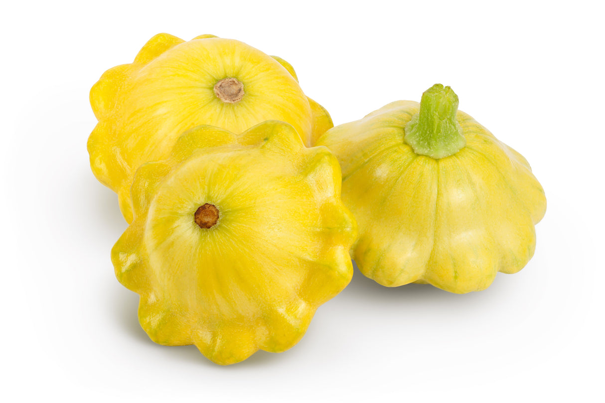 10 Golden YELLOW Bush SCALLOP SQUASH (Patty Pan / Paty Pan / Squanter Squash) Summer Cucurbita Pepo Vegetable Seeds