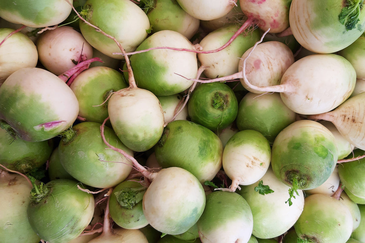 300 WATERMELON RADISH Beauty Heart Raphanus Sativus Pink White Vegetable Seeds