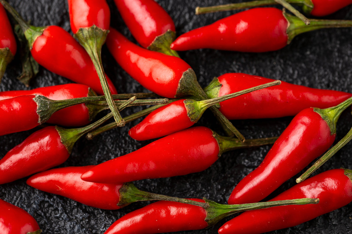 30 BIRDS Eye CHILI PEPPER (Chiltepin Pepper) Capsicum Frutescens Vegetable Seeds
