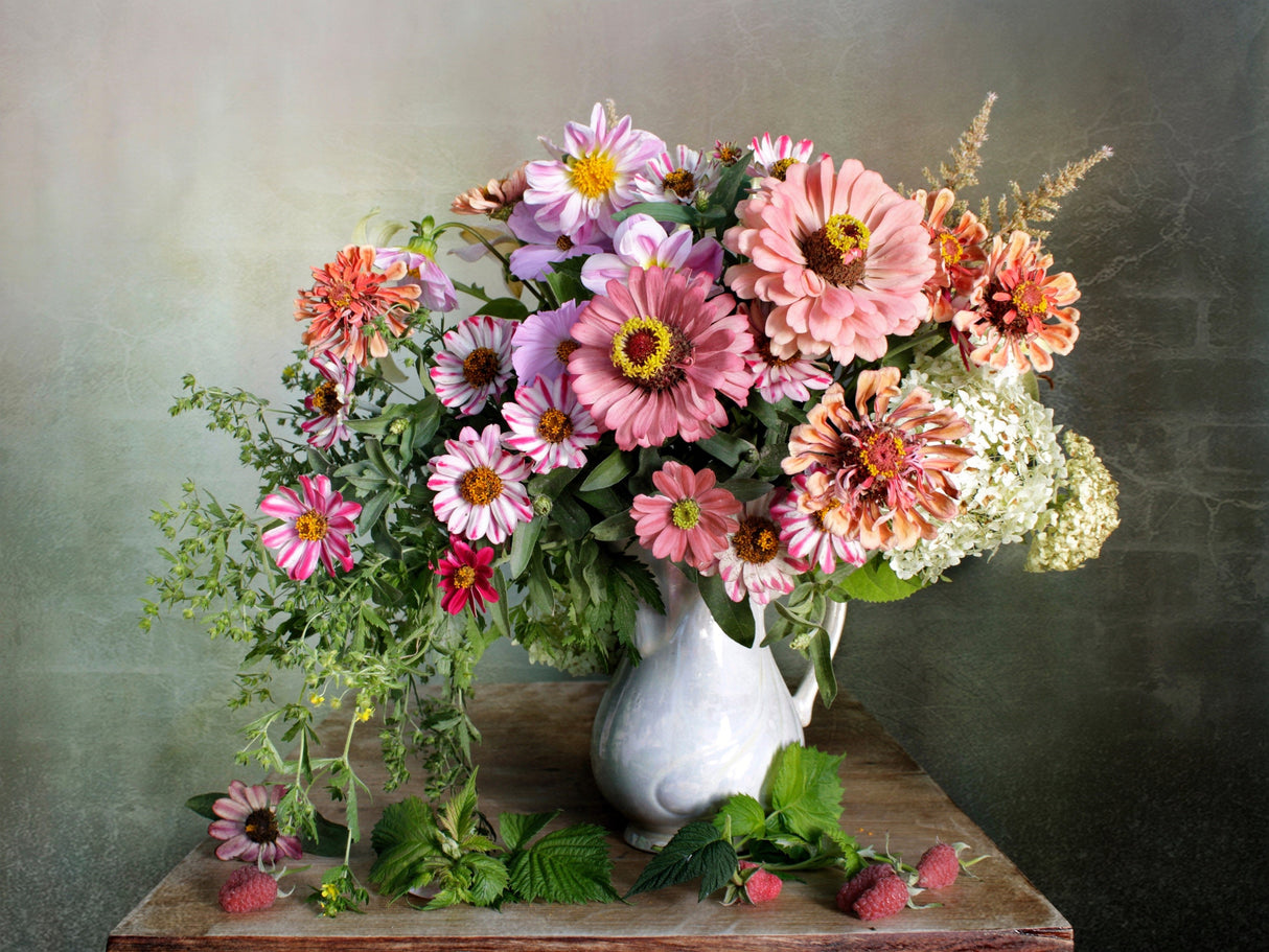 250 Mixed Colors Common GARDEN ZINNIA Elegans Flower Seeds