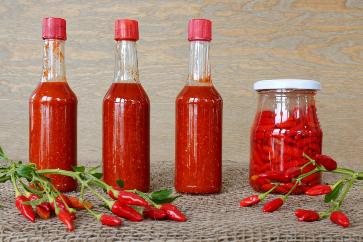 50 TABASCO PEPPER Hot Red Capsicum Fruitescens Vegetable Seeds