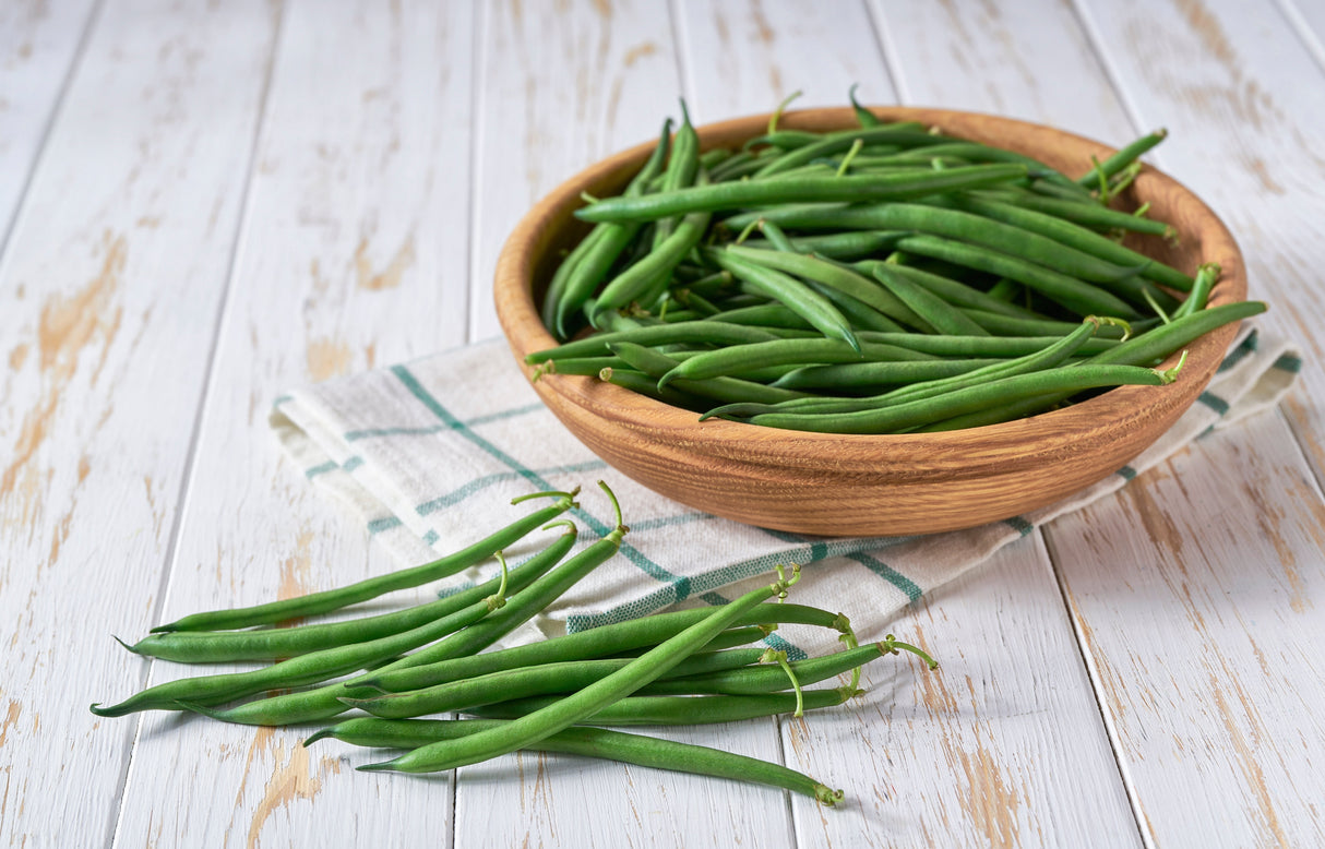 50 FRENCH Blue Lake POLE BEAN Phaseolus Vulgaris Vegetable Seeds