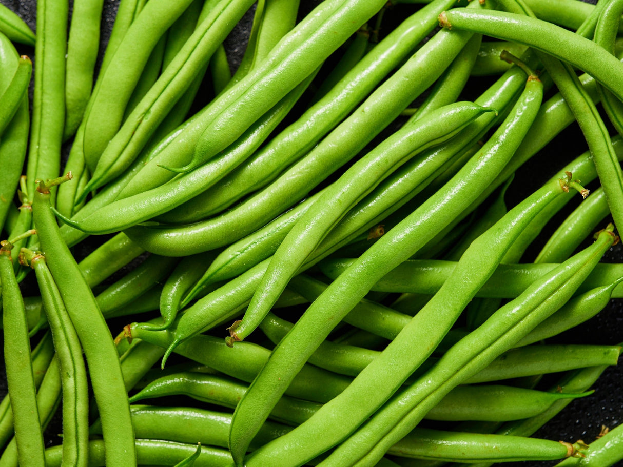 50 GREENCROP GREEN BEAN Phaseolus Vulgaris Vegetable Seeds