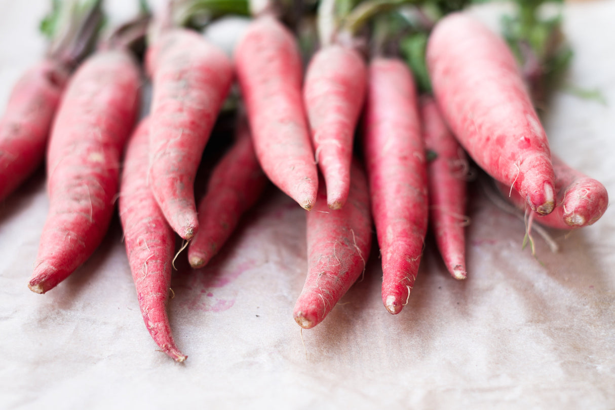 100 CHINA ROSE RADISH (Chinese Winter Radish) Raphanus Sativus Vegetable Seeds