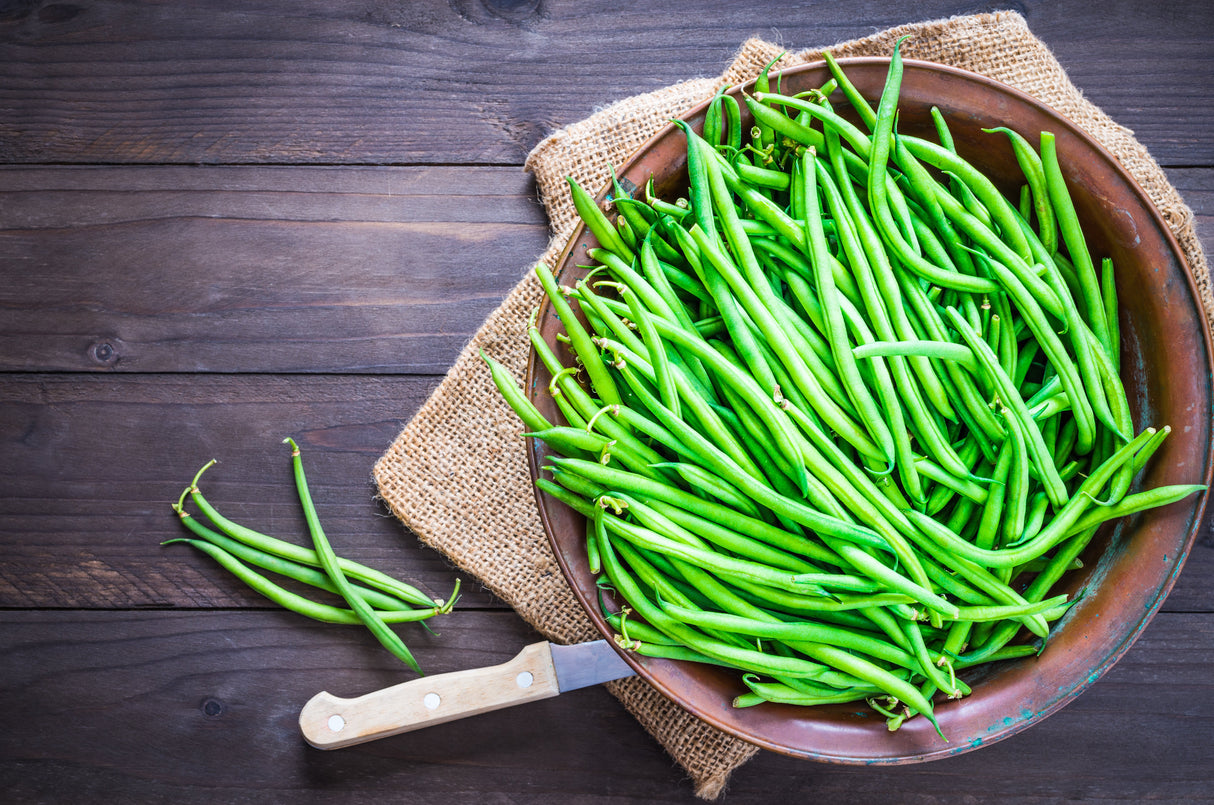 50 SLENDERETTE GREEN BEAN French Stringless Phaseolus Vulgaris Vegetable Seeds