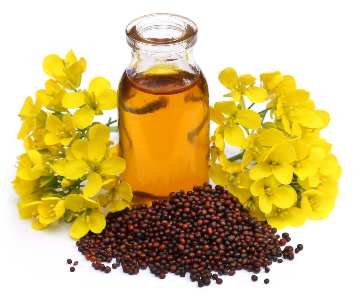1000 BROWN MUSTARD Brassica Juncea Vegetable Herb Seeds