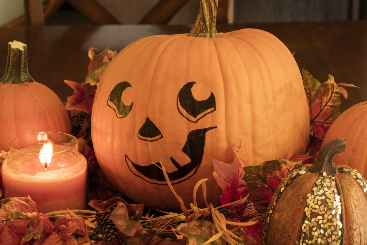 50 SPOOKIE PUMPKIN aka Deep Sugar Pie Pumpkin Cucurbita Pepo Vegetable Seeds