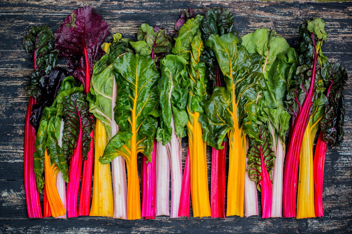 150 Mixed Colors NORTHERN LIGHTS SWISS CHARD (Perpetual Spinach) Beta Vulgaris Cicla Vegetable Seeds
