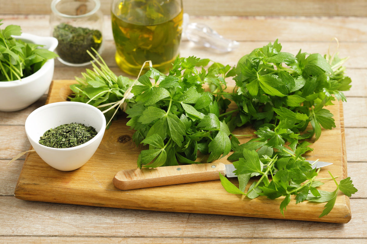 50 LOVAGE Levistucum Officinale - Flavor like celery & anise - Herb Flower Seeds