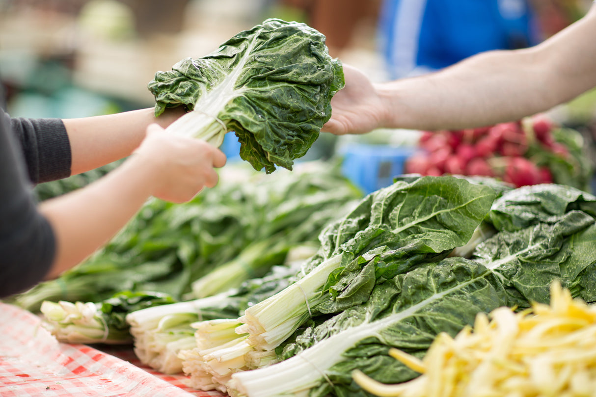 300 LUCULLUS SWISS CHARD Beta Vulgaris White Perpetual Spinach Vegetable Seeds