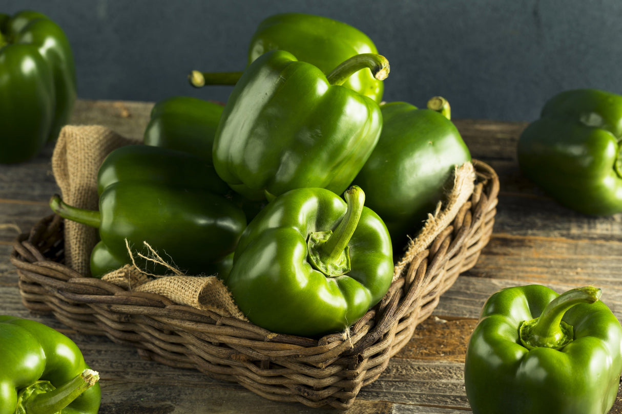 200 Sweet Green CALIFORNIA WONDER Bell PEPPER Capsicum Annuum Vegetable Seeds