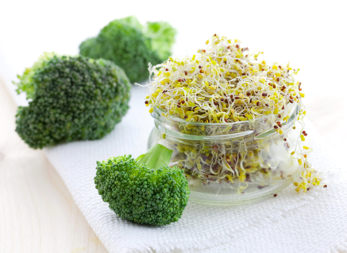 1000 WALTHAM 29 BROCCOLI Brassica Oleracea Vegetable Seeds