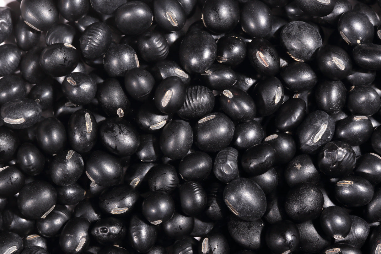 25 Sweet BLACK JET SOYBEAN Edamame Bean Glycine Max Vegetable Legume Seeds