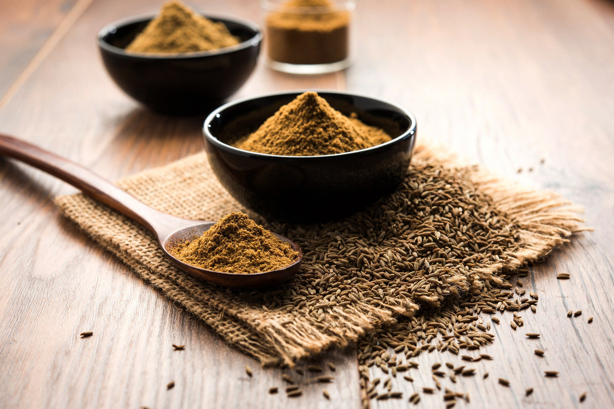 500 Organic CUMIN Cuminum Cyminum Herb Flower Seeds