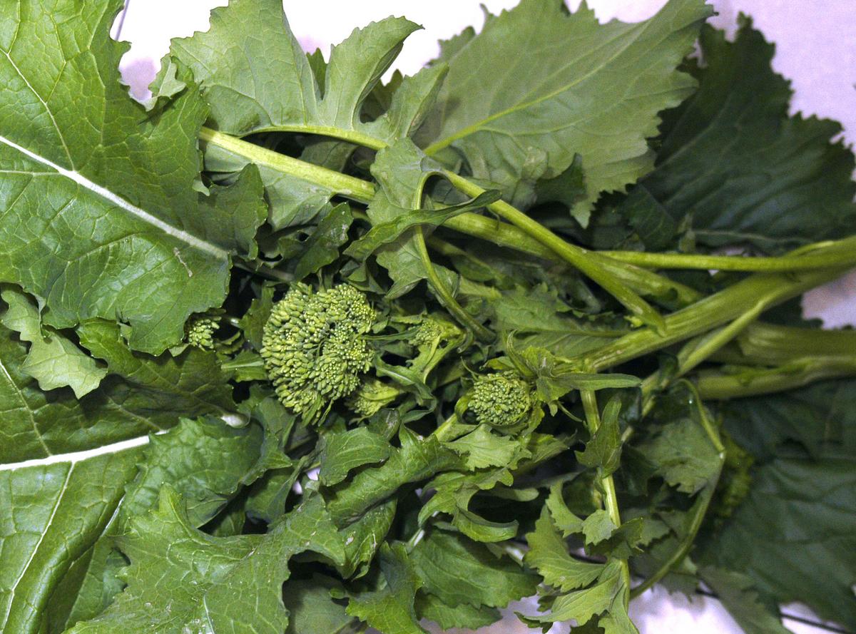 Sorrento Broccoli Raab
