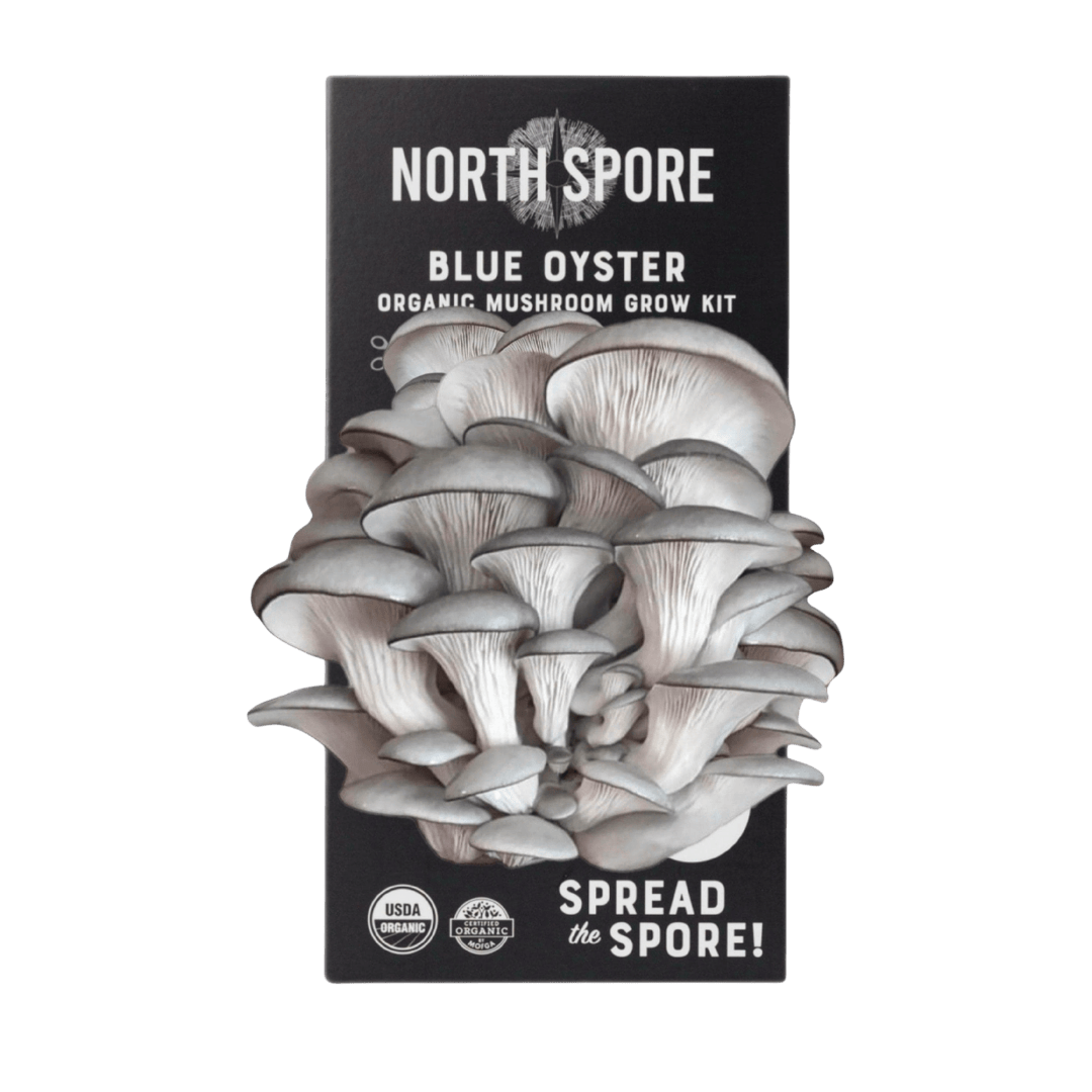 Organic Blue Oyster ‘Spray & Grow’ Mushroom Growing Kit