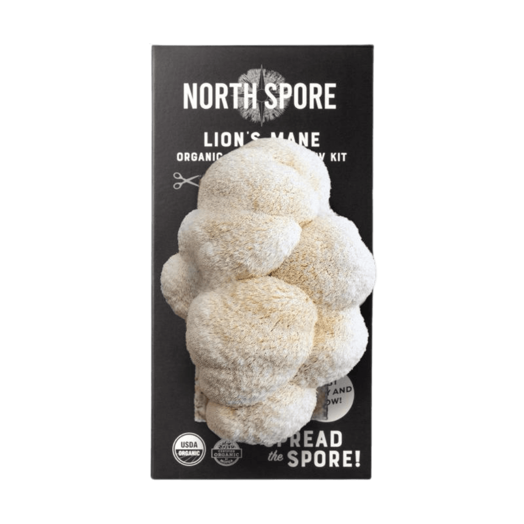 Organic Lion's Mane ‘Spray & Grow’ Mushroom Growing Kit