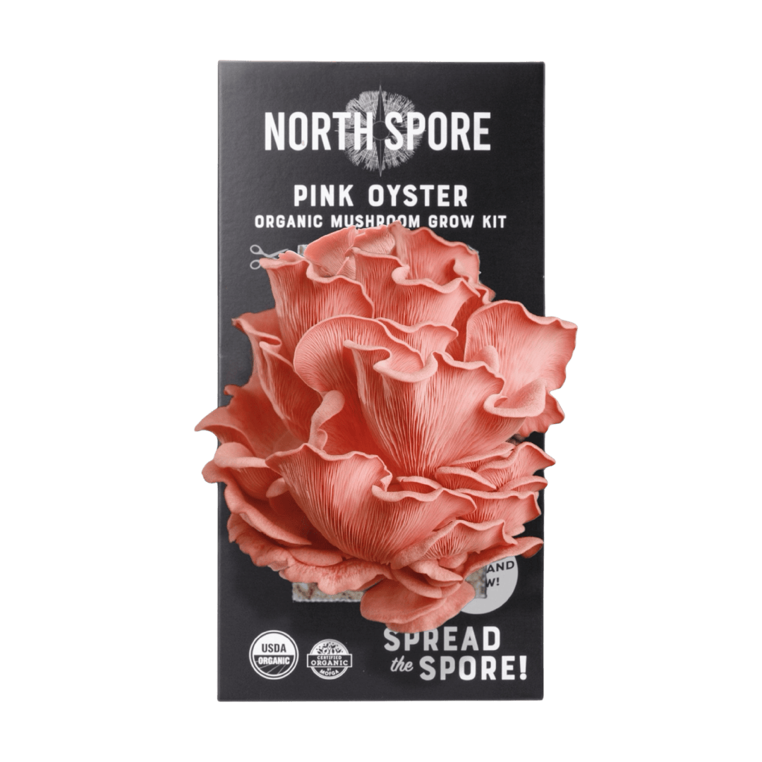 Organic Pink Oyster ‘Spray & Grow’ Mushroom Growing Kit