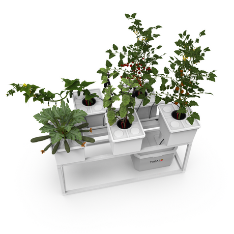 Tobato 5 β Dutch Bucket Hydroponic Growing System