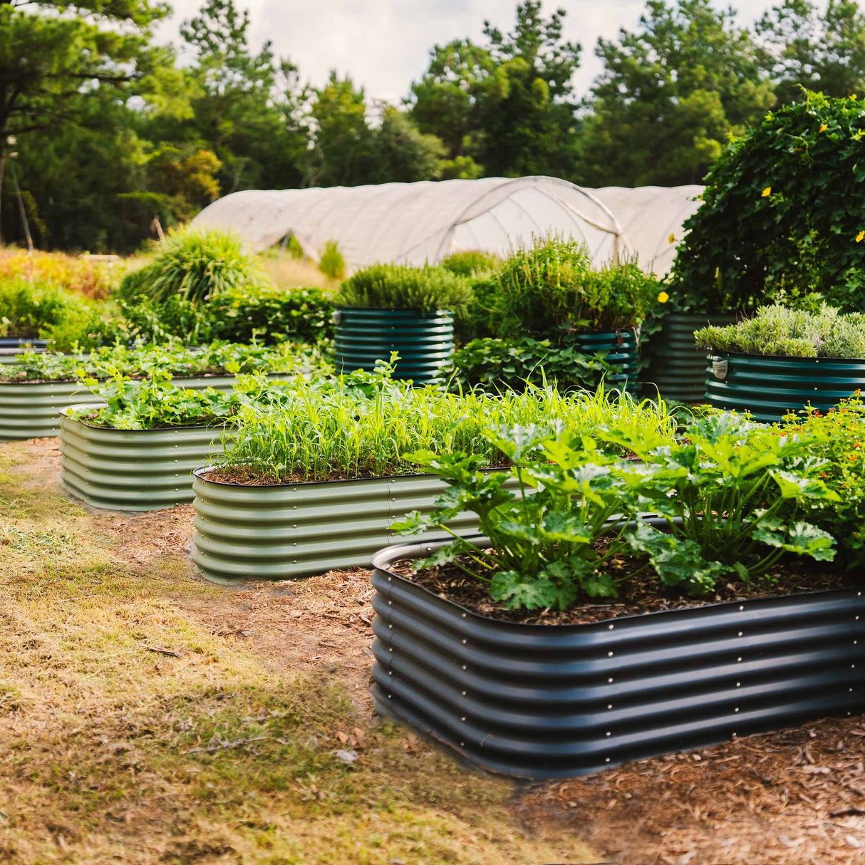 Vego Garden Raised Planter Garden Bed Kit