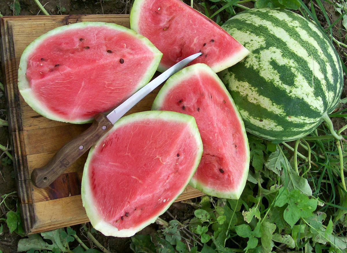 Crimson Sweet Watermelon