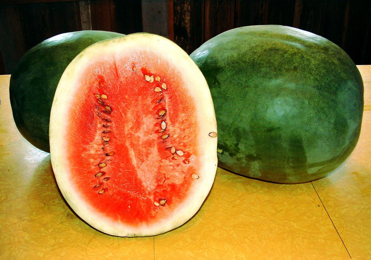 Stone Mountain Watermelon