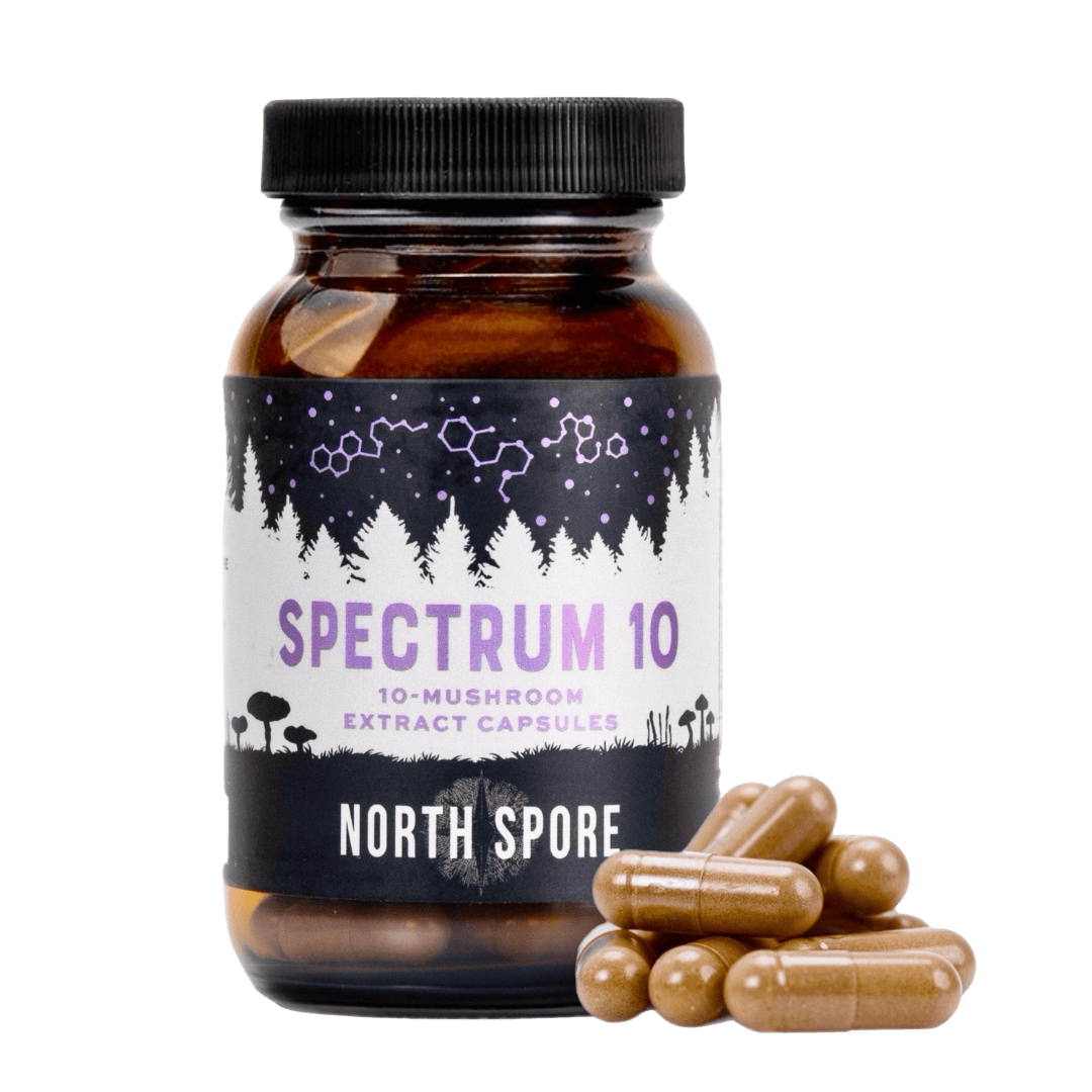 Organic ‘Spectrum 10’ Mushroom Capsules (120 ct)