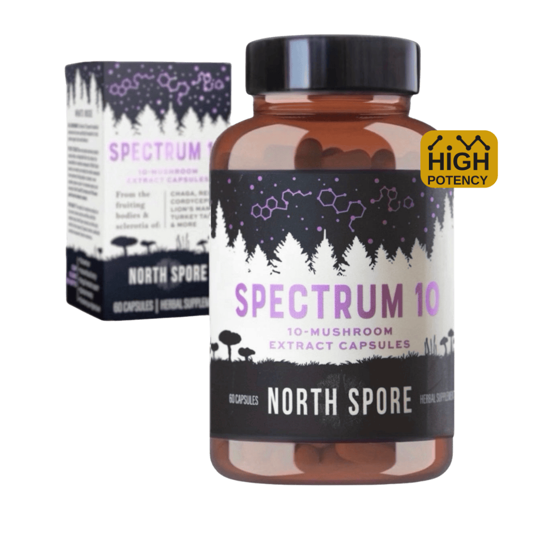 Organic ‘Spectrum 10’ Mushroom Capsules (High Potency)