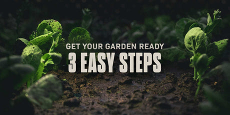 How to Get Your Garden Ready for Spring - 3 Steps