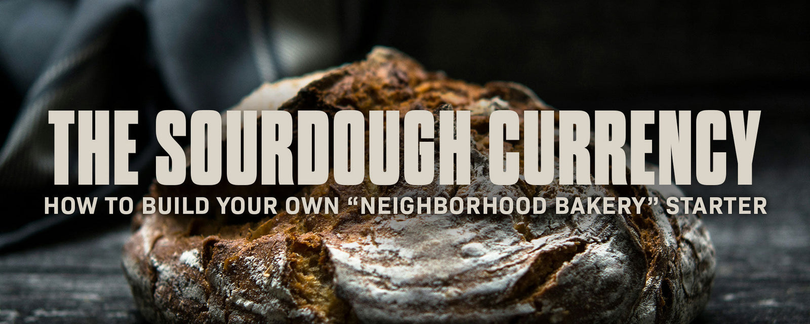 The Sourdough Currency: How to Build Your Own "Neighborhood Bakery" Starter