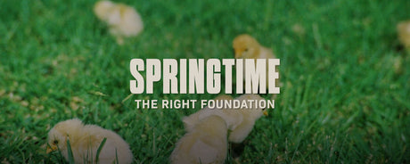 The Resilient Garden: Soil, Seeds, and Self-Reliance