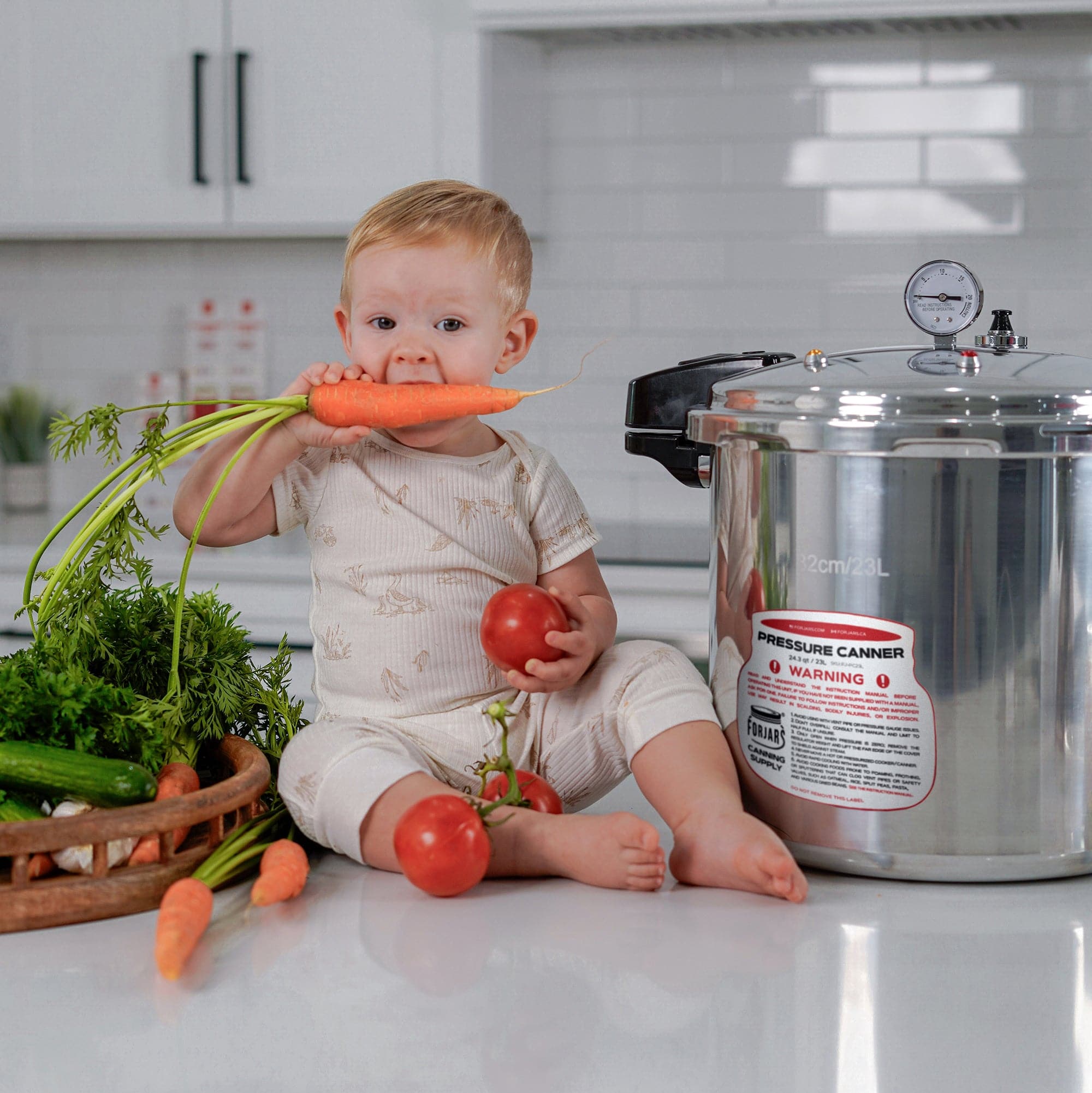 22,000円 新品 LSA ボンボンジャー　キャニスター ForJars - Pressure canner 23 L – Homestead