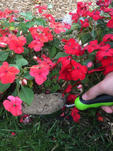 Stainless Steel Garden Scoop Trowel