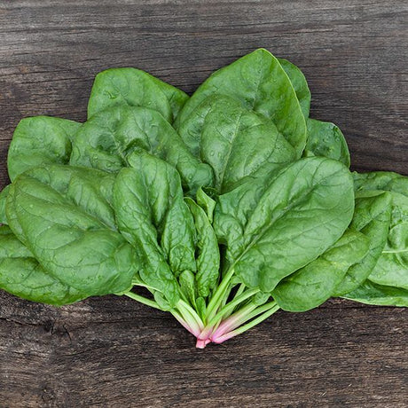 Butterflay Spinach