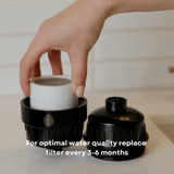 Replacement Shower Filter Cartridges