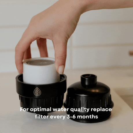Replacement Shower Filter Cartridges