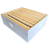 10-Frame Complete, Medium 6 5/8-inch Box with Frames and Foundation
