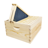 10-Frame Complete, Deep 9 5/8-inch Box with Frames and Foundation