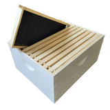 10-Frame Complete, Deep 9 5/8-inch Box with Frames and Foundation