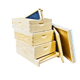 10-Frame All-Medium Box Hive Kit