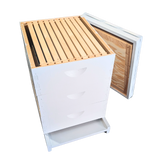 10-Frame All-Medium Box Hive Kit