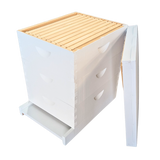 10-Frame All-Medium Box Hive Kit