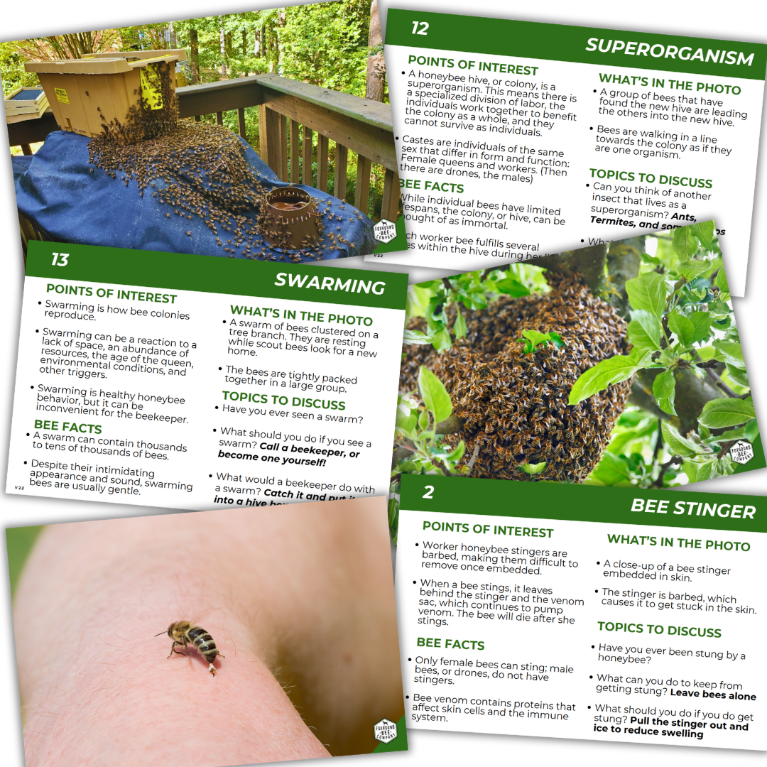Educational Beekeeping Cards